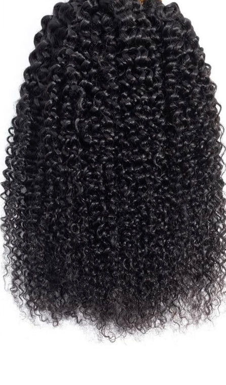 100% Bohemian Virgin Hair Kinky Curly To Add To Your Braids $300